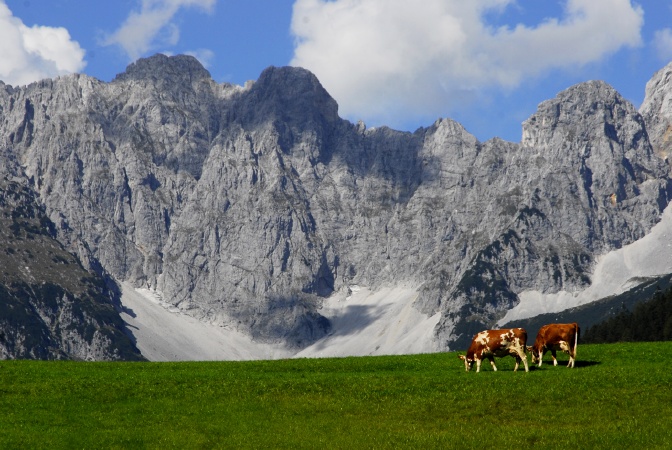 Wilder Kaiser_D203907 001.JPG